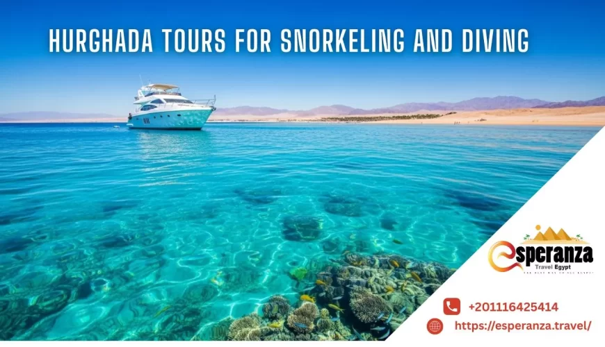 Best Hurghada Tours for Snorkeling and Diving