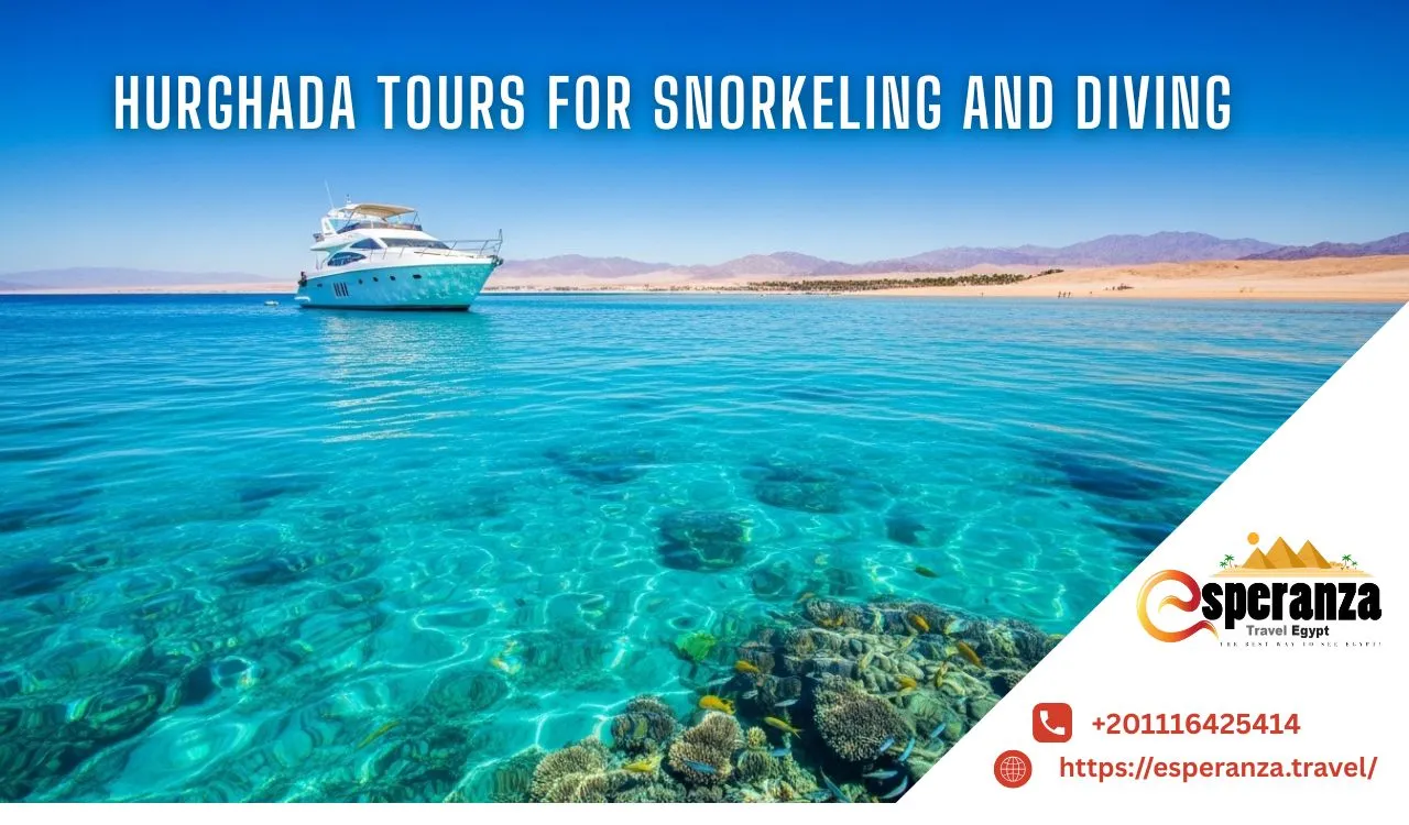 Best Hurghada Tours for Snorkeling and Diving