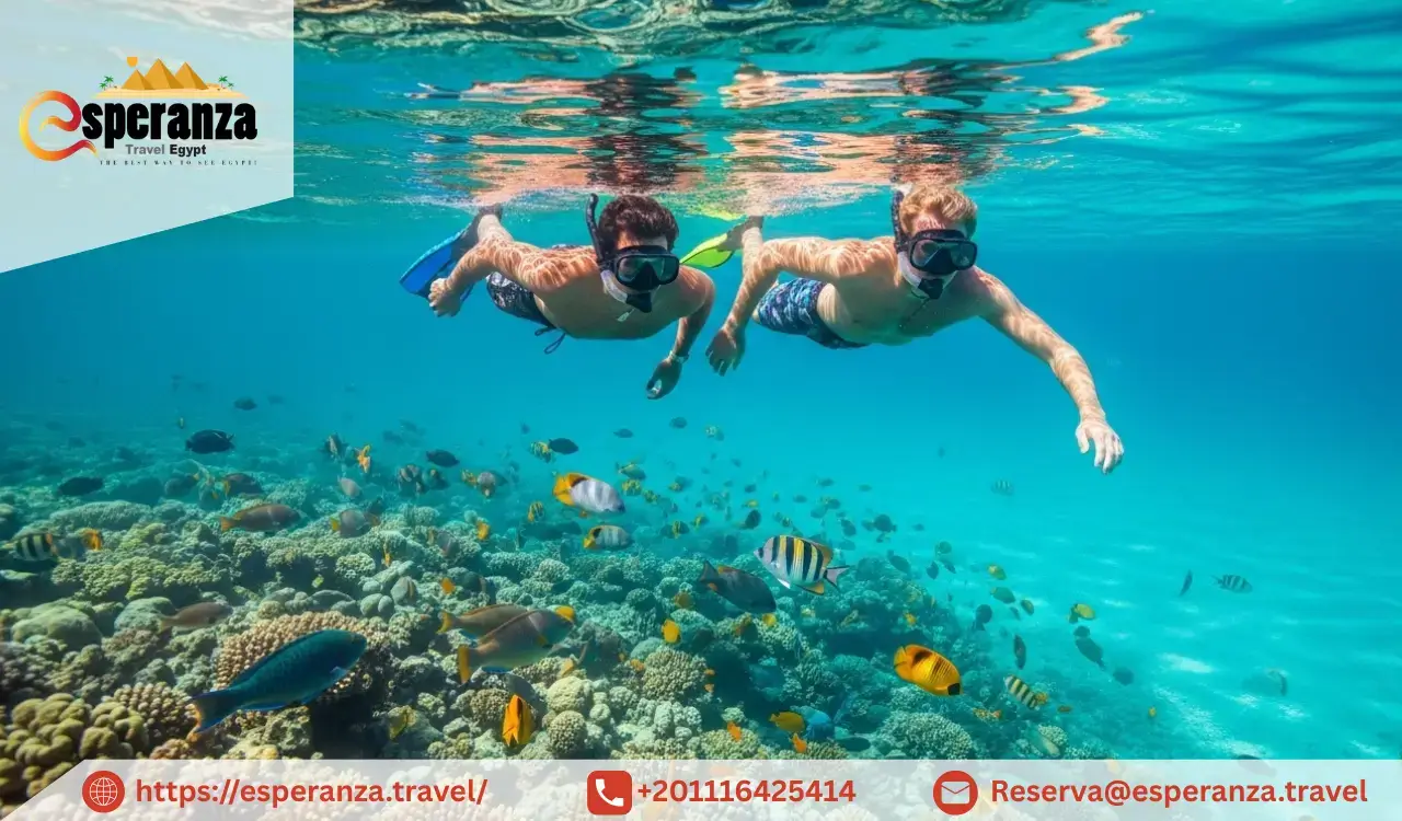 Snorkeling in hurghada