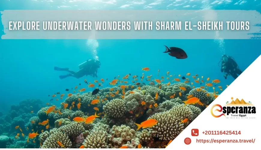 sharm el sheikh tours