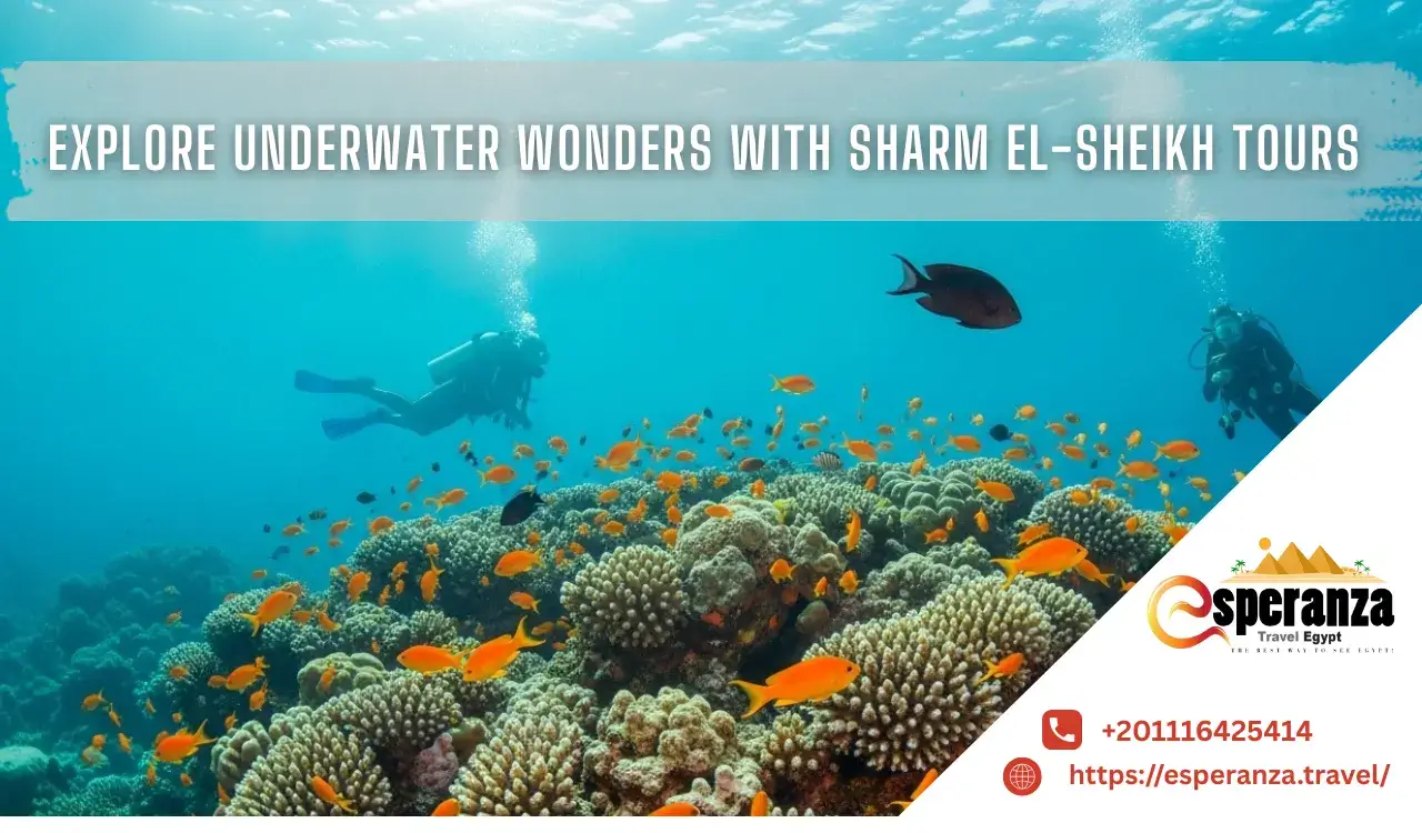 sharm el sheikh tours