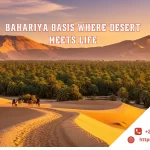 Bahariya Oasis