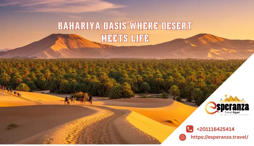 Bahariya Oasis