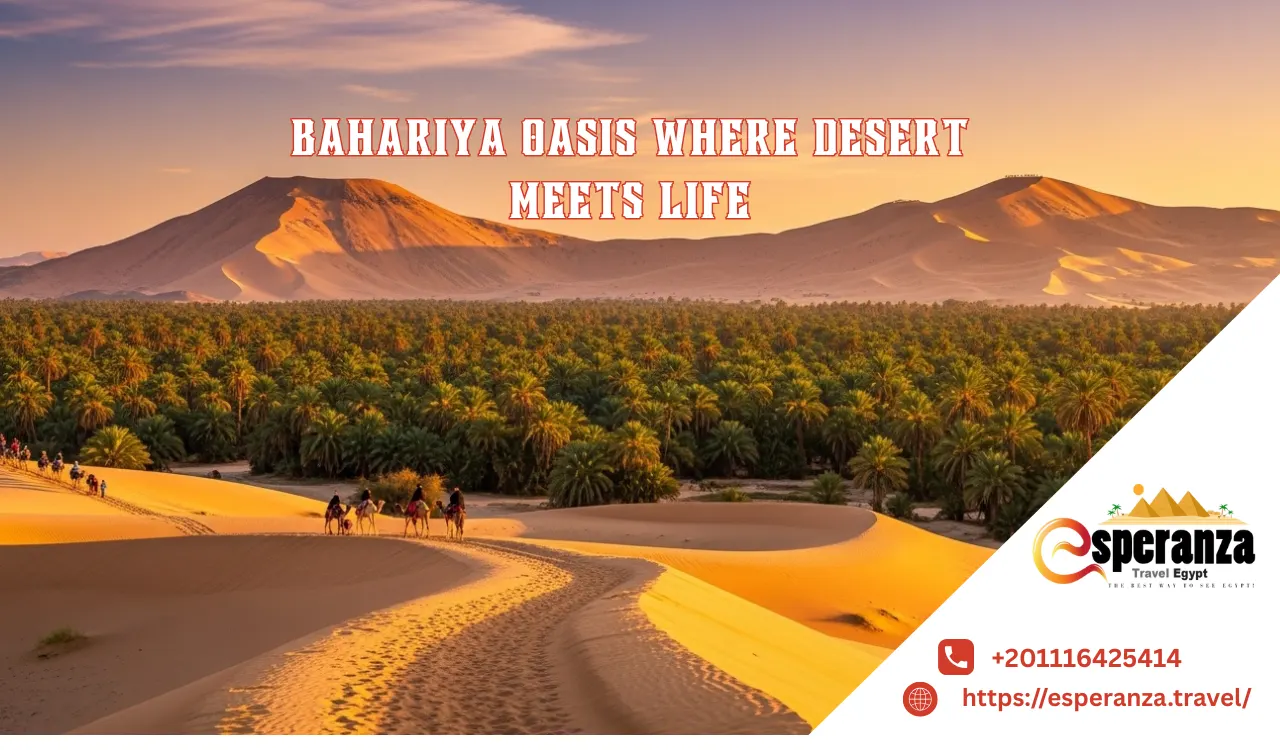 Bahariya Oasis