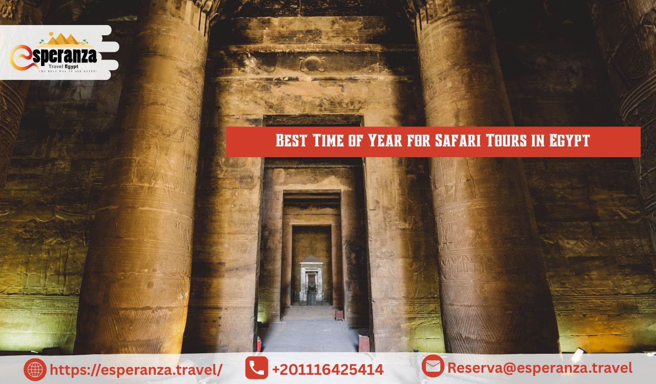 Best Time of Year for Safari Tours in Egypt