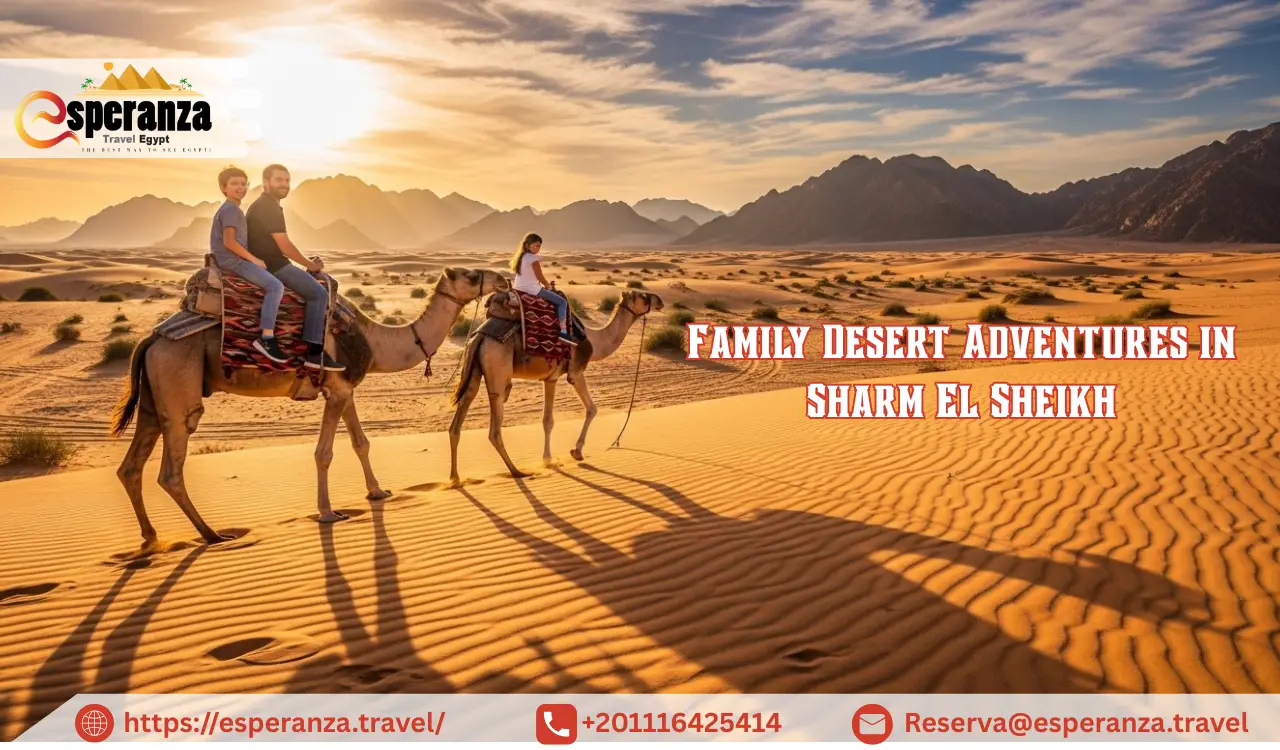 Desert Adventures in Sharm El Sheikh