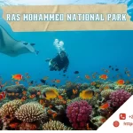 Ras Mohammed National Park
