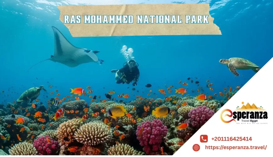 Ras Mohammed National Park