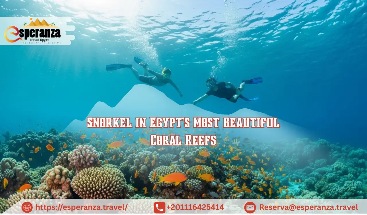 Snorkel in Egypt