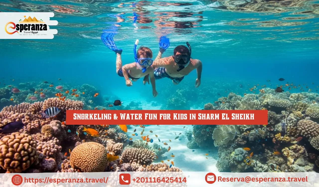Snorkeling for Kids in Sharm El Sheikh