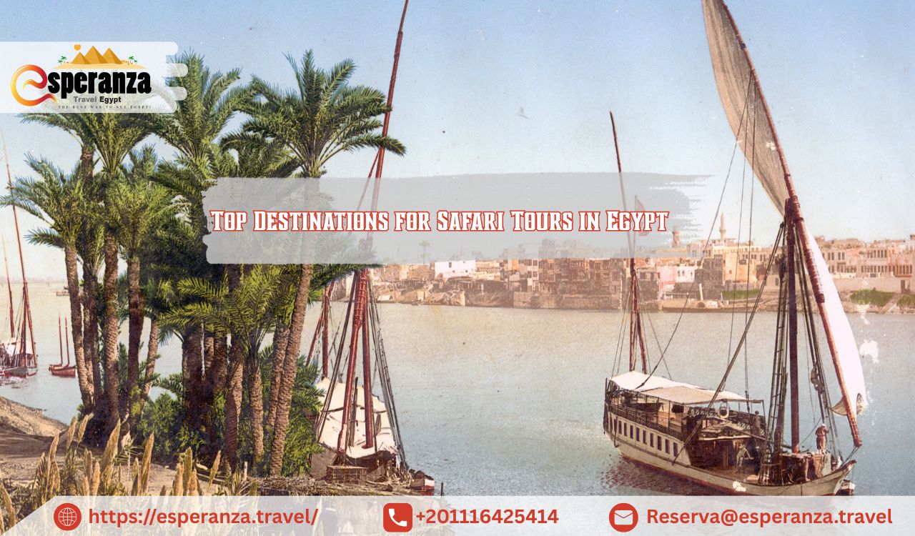 Top Destinations for Safari Tours in Egypt