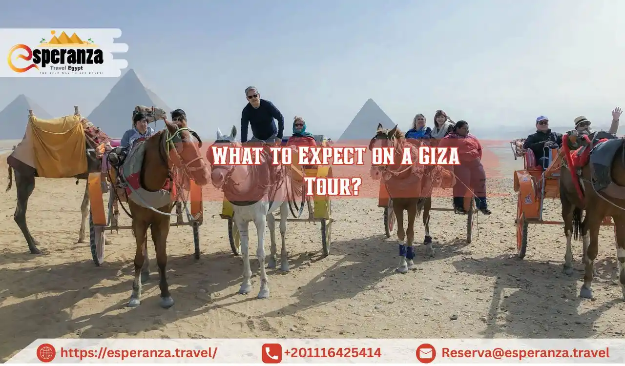 What to Expect on a Giza Tour?
