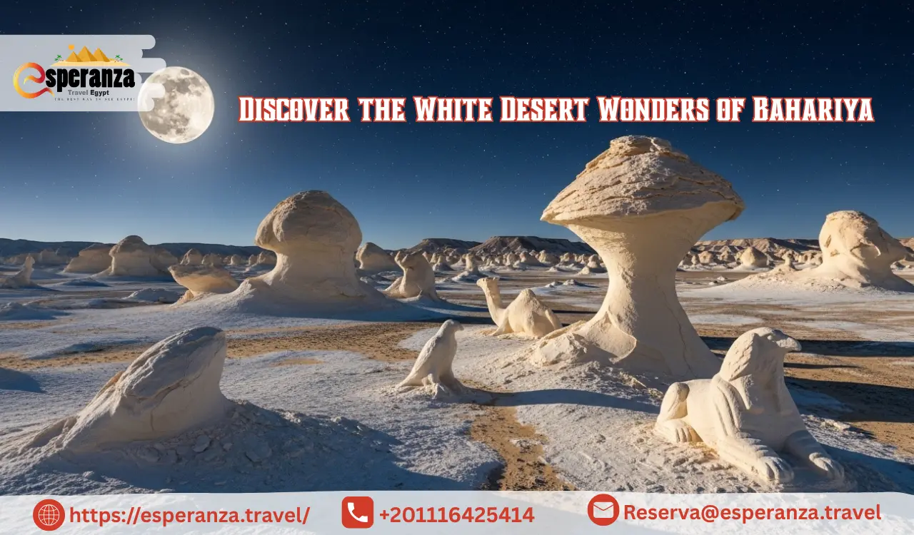 White Desert Wonders