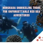 Hurghada Snorkeling