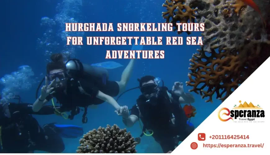Hurghada Snorkeling