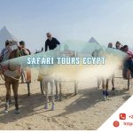 safari tours egypt