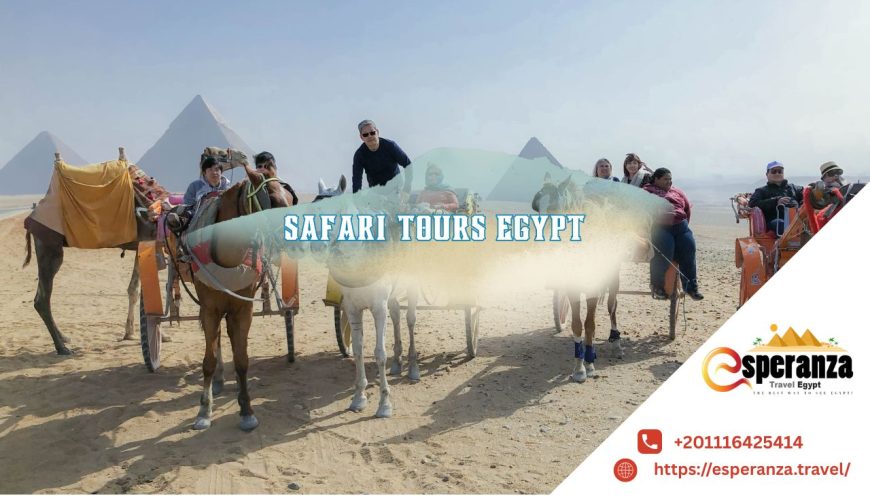 safari tours egypt