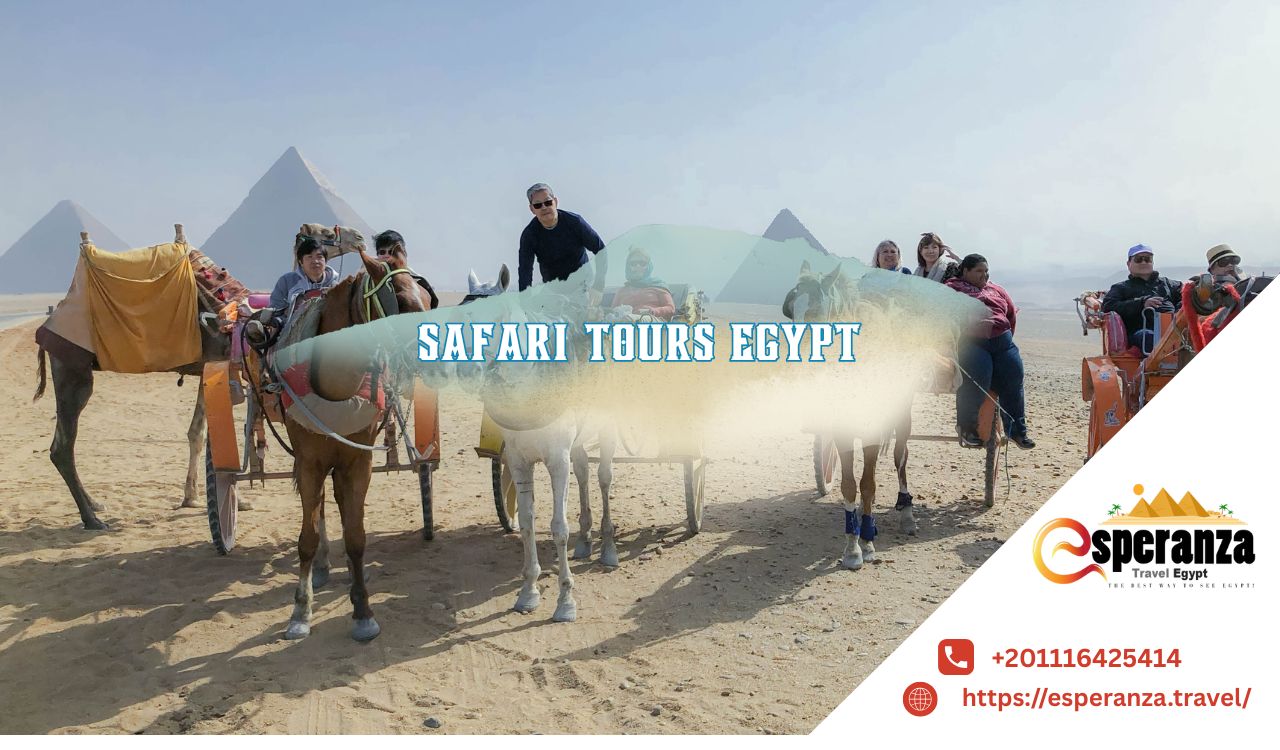 safari tours egypt