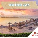 tour marsa alam